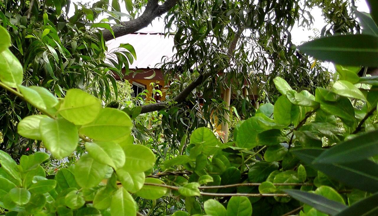 Sunntop Cabana Trincomalee Ngoại thất bức ảnh